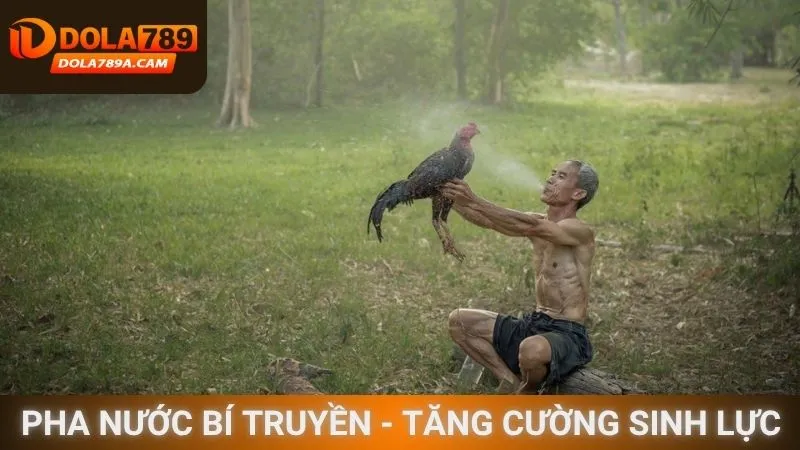 Pha nước bí truyền - Tăng cường sinh lực