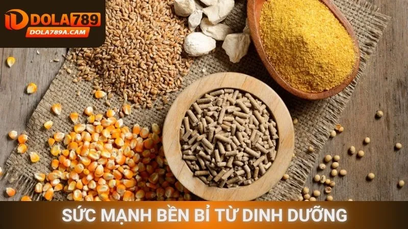 Sức mạnh bền bỉ từ dinh dưỡng