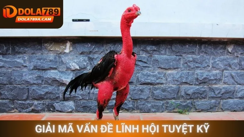 Giải mã vấn đề lĩnh hội tuyệt kỹ