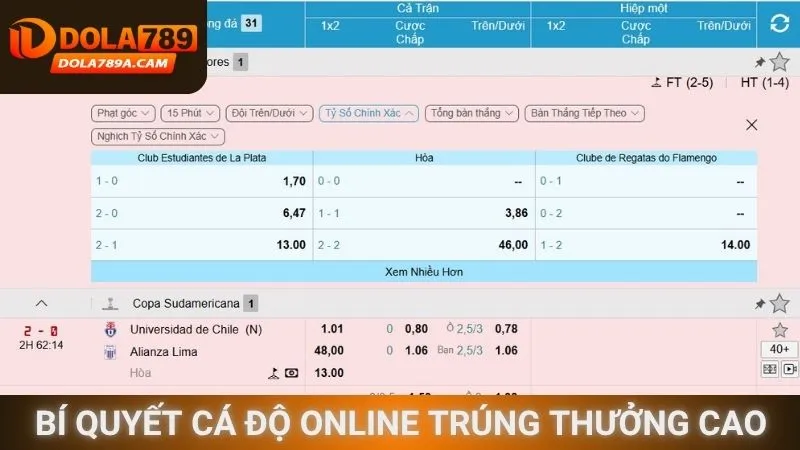 Bí quyết chơi cá độ online trúng thưởng cao