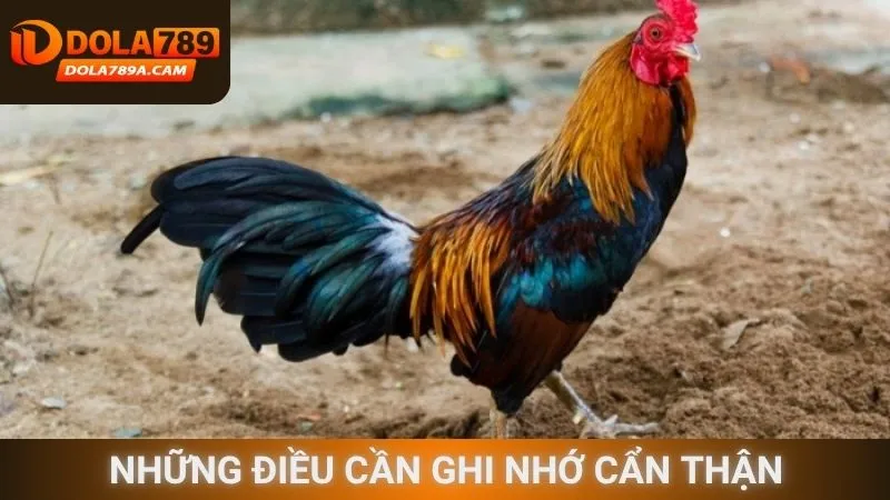 Những điều cần ghi nhớ cẩn thận