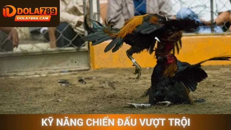 Kỹ năng chiến đấu vượt trội